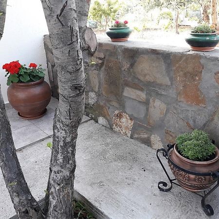 Appartamento Nikiforos House Agios Nikolaos  Esterno foto